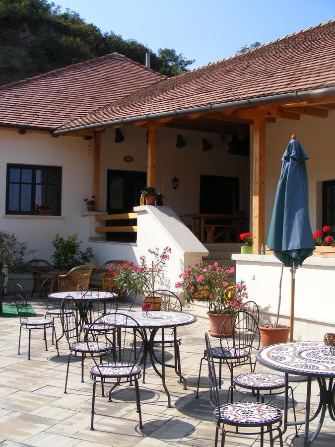 Appartement Erzsébet Pince à Tokaj Extérieur photo