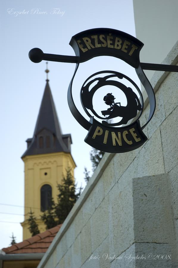 Appartement Erzsébet Pince à Tokaj Extérieur photo